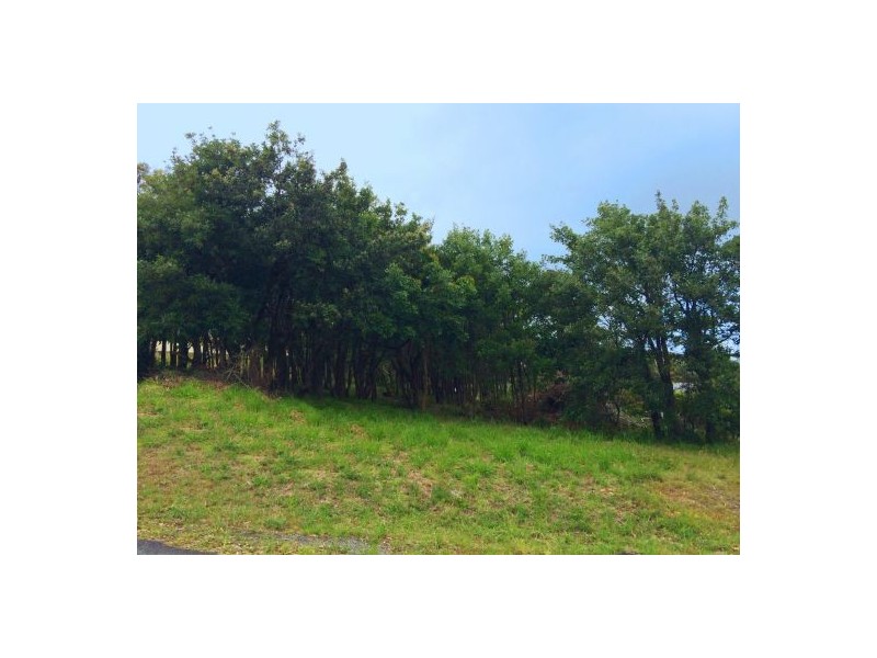 5 Tiarri Crescent, Terrigal NSW 2260