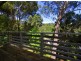 12 Mondy Crescent, Avoca Beach NSW 2251