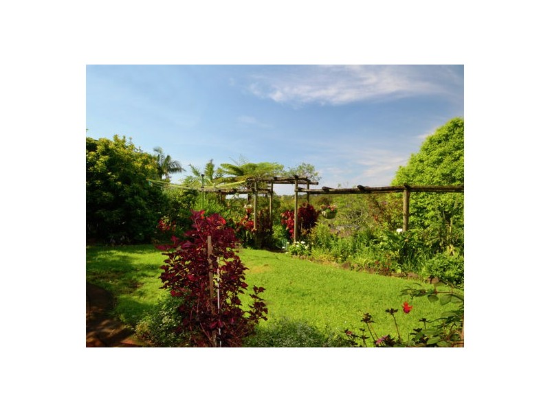 114 Old Gosford Road, Wamberal NSW 2260