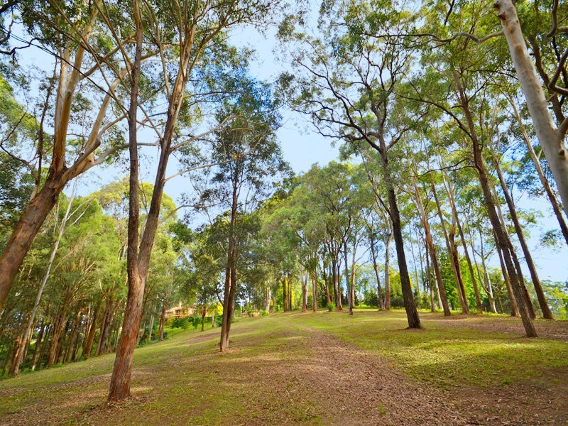 98A Beaufort Rd, Terrigal NSW 2260