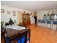 466 Tumbi Rd, Wamberal NSW 2260
