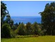 54A Hillcrest Street, Terrigal NSW 2260