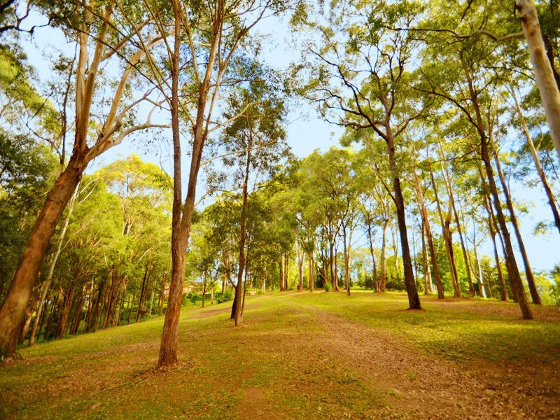 98a Beaufort Rd, Terrigal NSW 2260