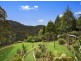 115 Picketts Valley Road, Picketts Valley NSW 2251