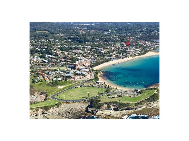 37 Ena Street, Terrigal NSW 2260