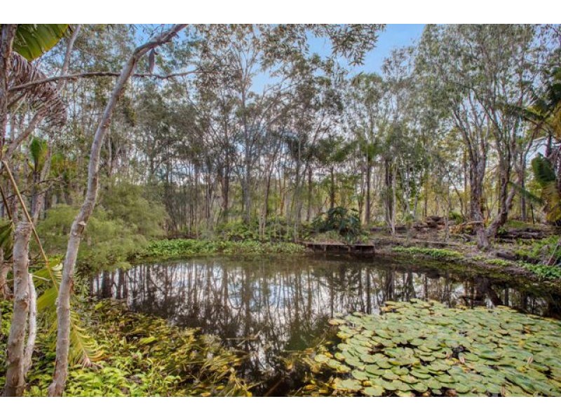 445 Torbanlea Pialba Road, Takura QLD 4655