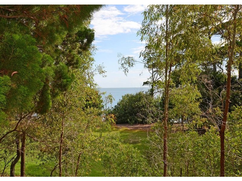 1/215 Esplanade, Pialba QLD 4655