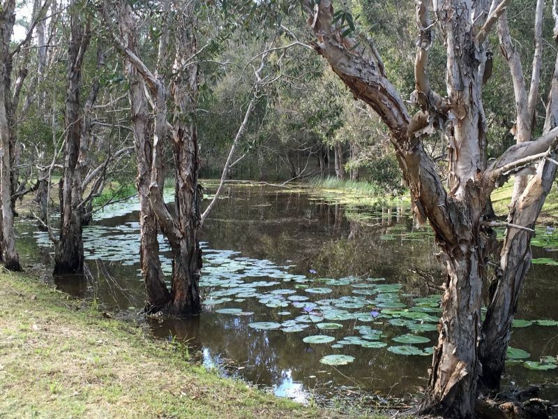 18 Flora Court, Dundowran Beach QLD 4655