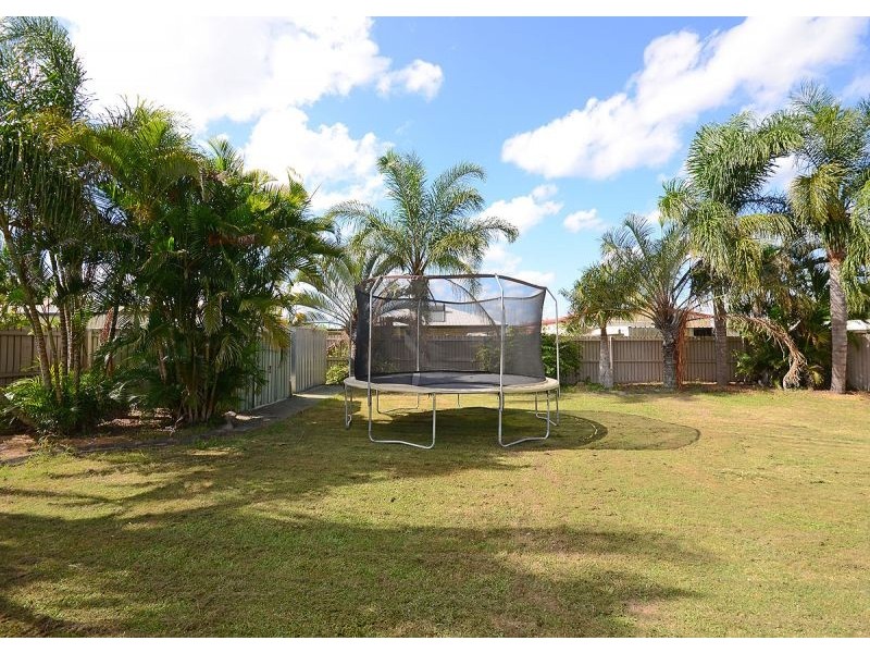 8 Archer Drive, Point Vernon QLD 4655