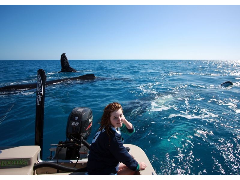 30 ( Lot 15 ) Eli Court, Kawungan QLD 4655