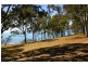 141 Esplanade, Point Vernon QLD 4655