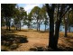141 Esplanade, Point Vernon QLD 4655