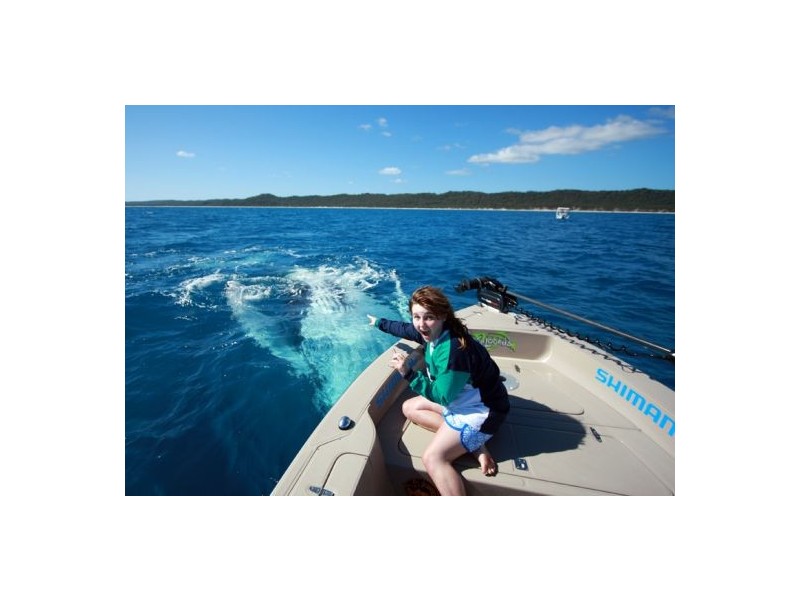 22 Stormy Rise, River Heads QLD 4655