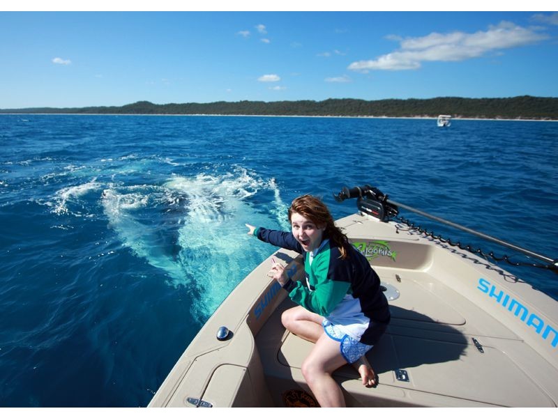 51 Royal Drive, Kawungan QLD 4655