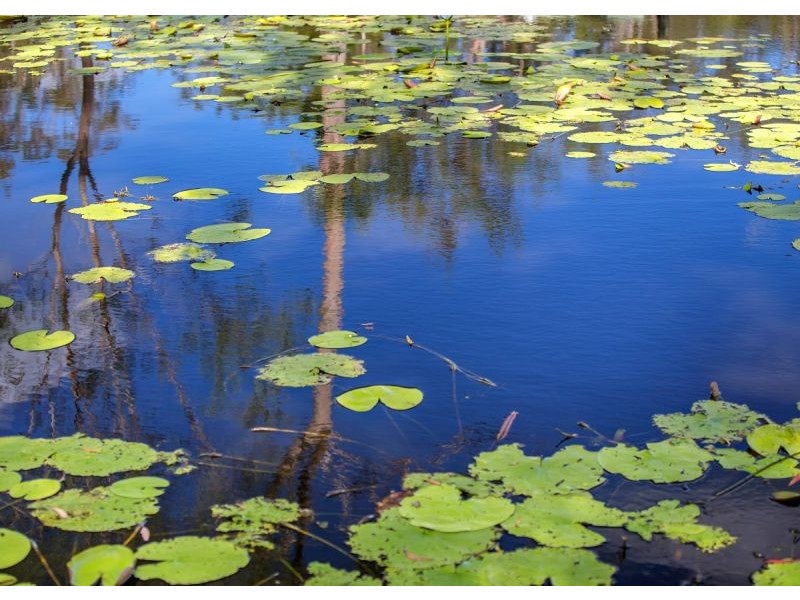 71 Lord Street, Sunshine Acres QLD 4655