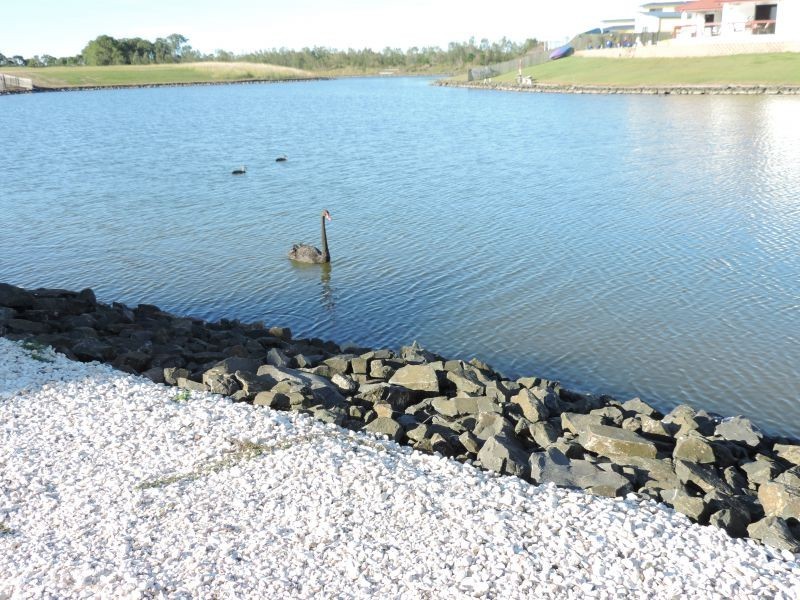 5 Bounty Circuit, Eli Waters QLD 4655