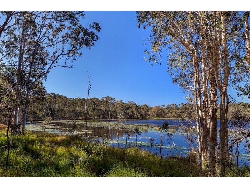 311 Bingham Road, Booral QLD 4655