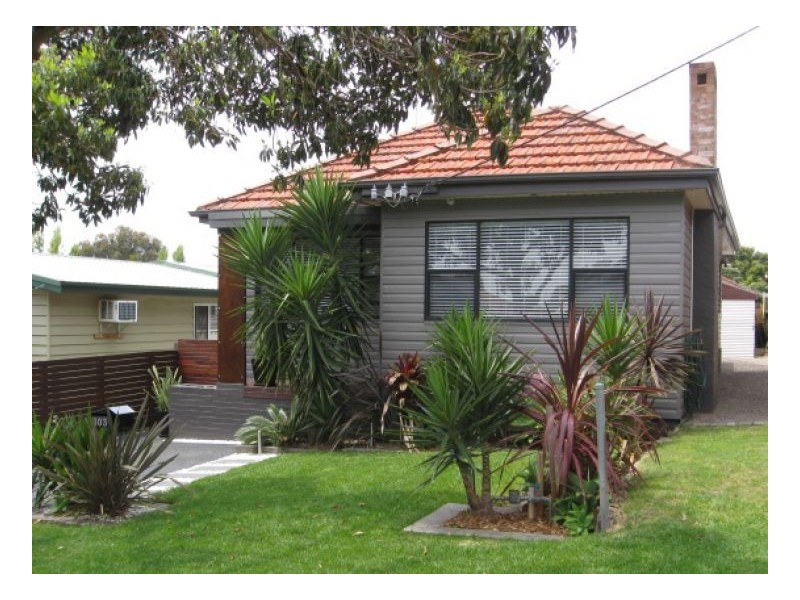 103 Elizabeth Street, Mayfield NSW 2304