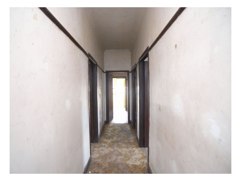 8 Cadell Avenue, Mayfield NSW 2304