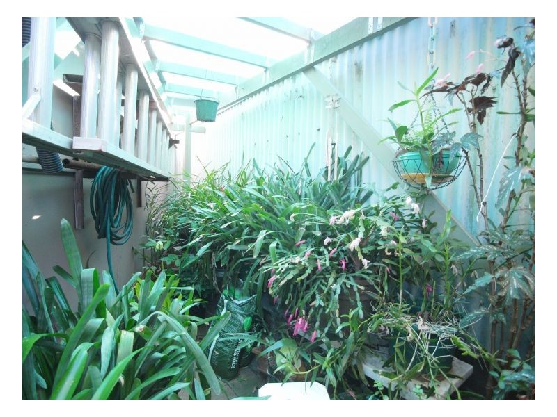 283 Maitland Road, Mayfield NSW 2304