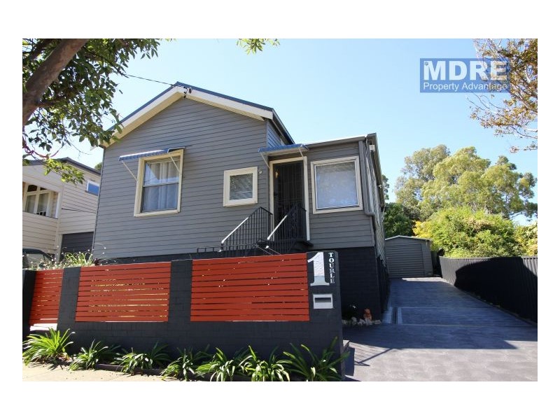 1 Tourle Street, Mayfield NSW 2304