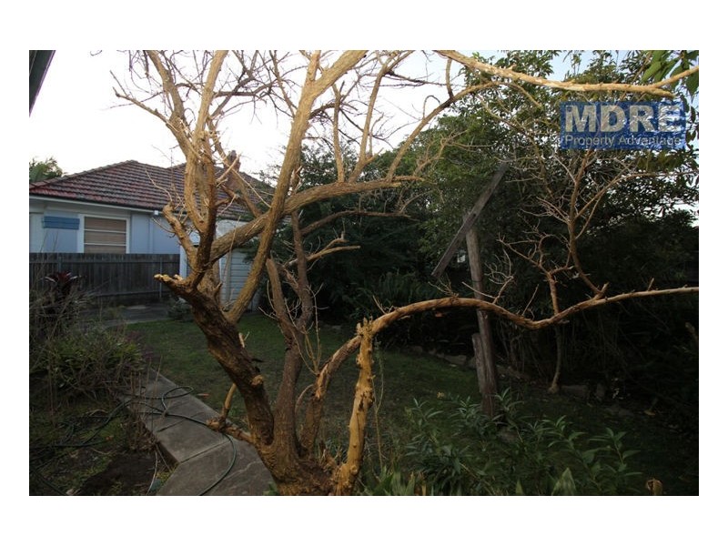 239 Maitland Road, Mayfield NSW 2304