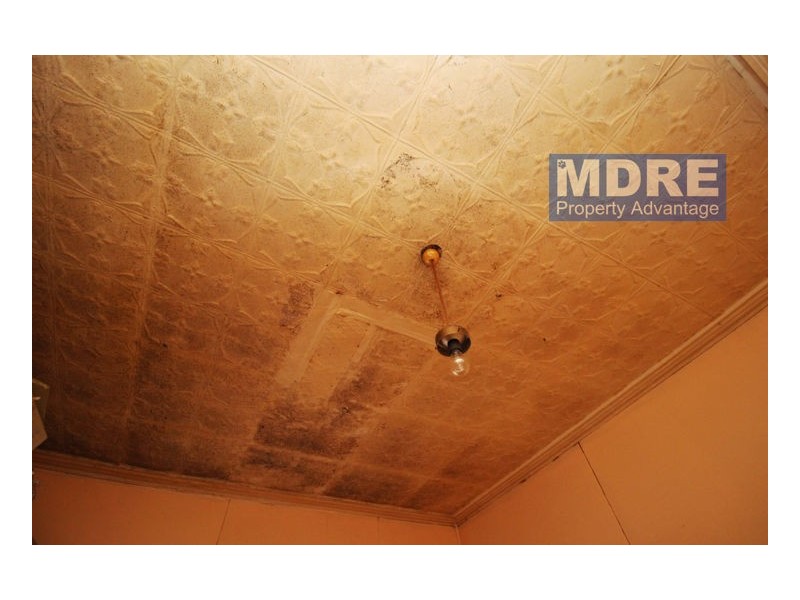 74 Ingall Street, Mayfield NSW 2304