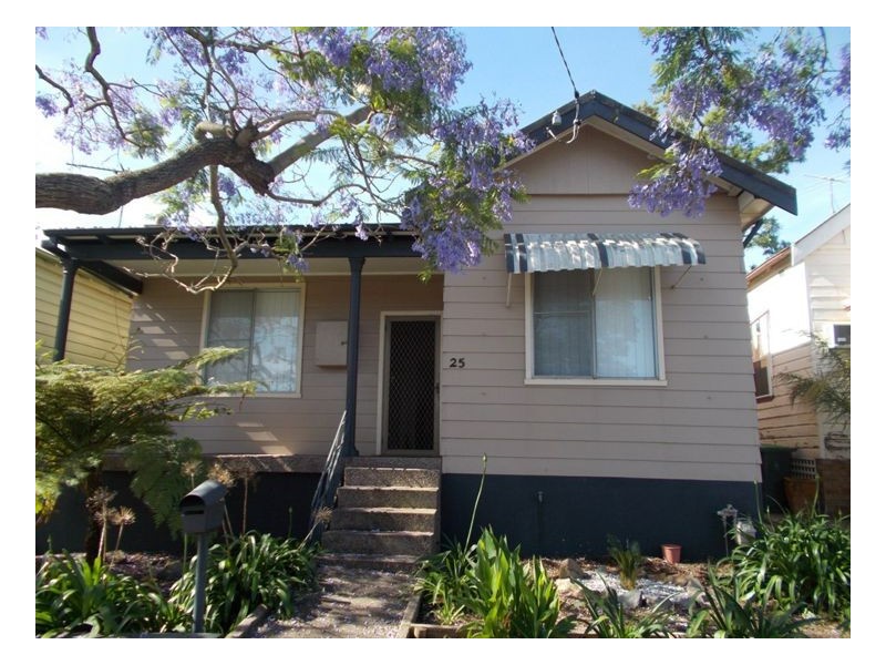 25 Winchester Street, Mayfield NSW 2304