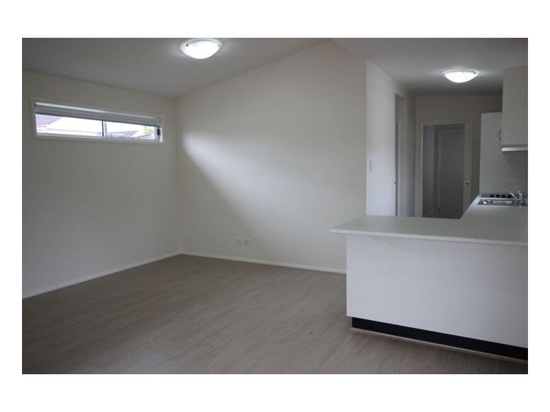 31a Milne Street, Shortland NSW 2307