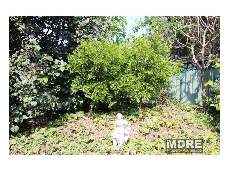 5 Cowie Street, Mayfield NSW 2304