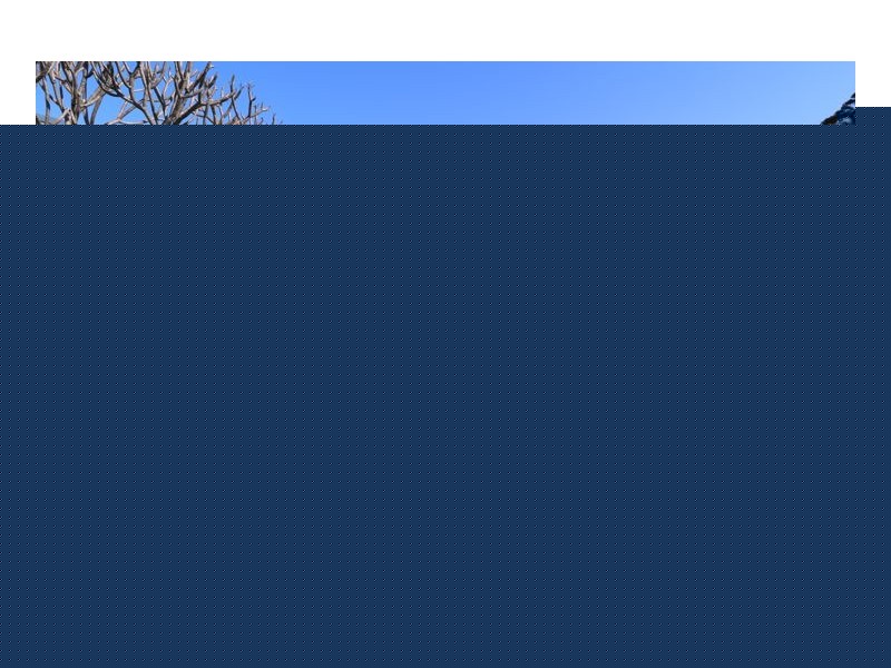 82 Waratah Street, Mayfield NSW 2304