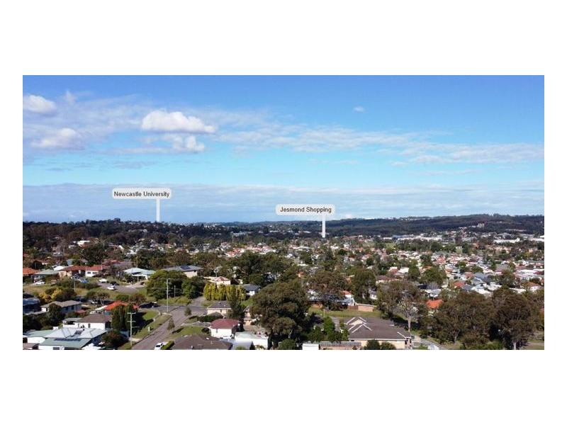 15 Macarthur Street, Shortland NSW 2307