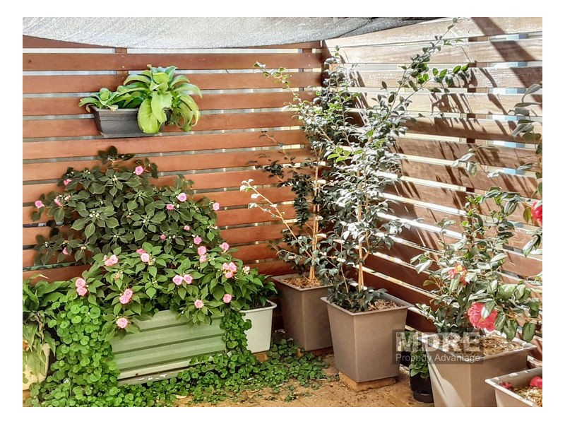 137 2129 Nelson Bay Road, Williamtown NSW 2318