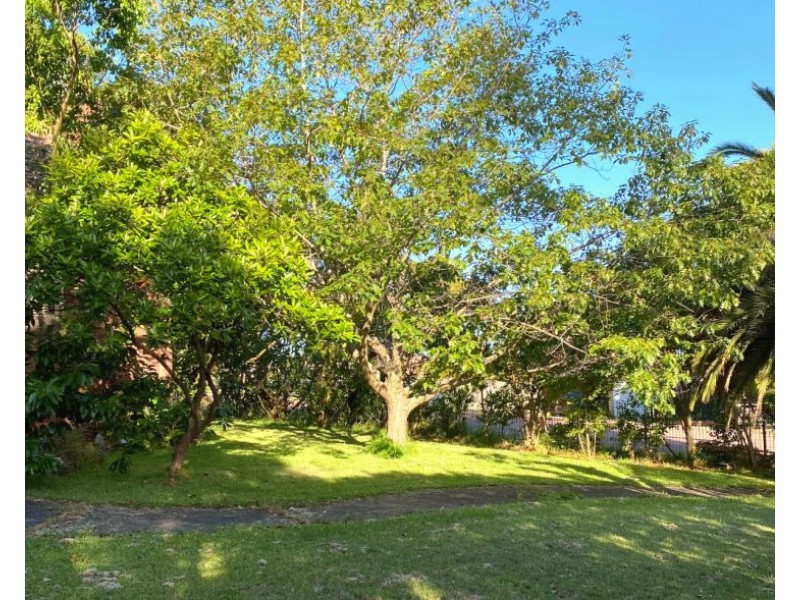 22A Victoria Street, Mayfield NSW 2304