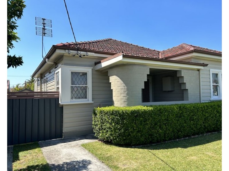 21 Vine Street, Mayfield NSW 2304