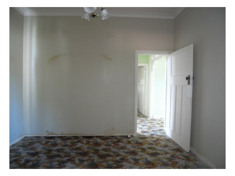 20 Arnold Street, Mayfield NSW 2304