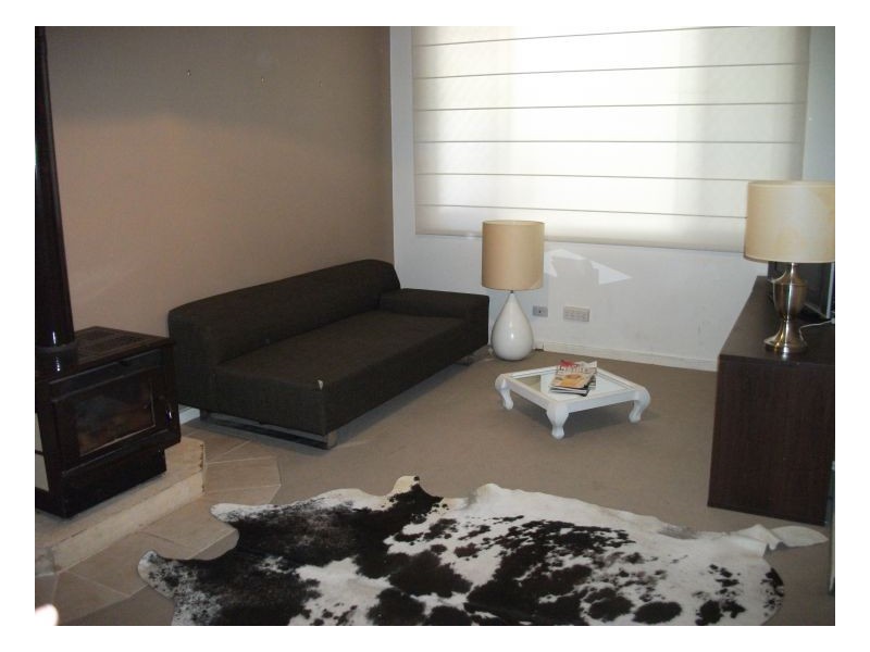 17 Carrington Street, Mayfield NSW 2304