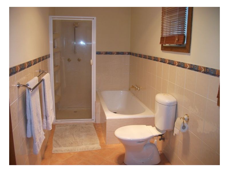 17 Carrington Street, Mayfield NSW 2304