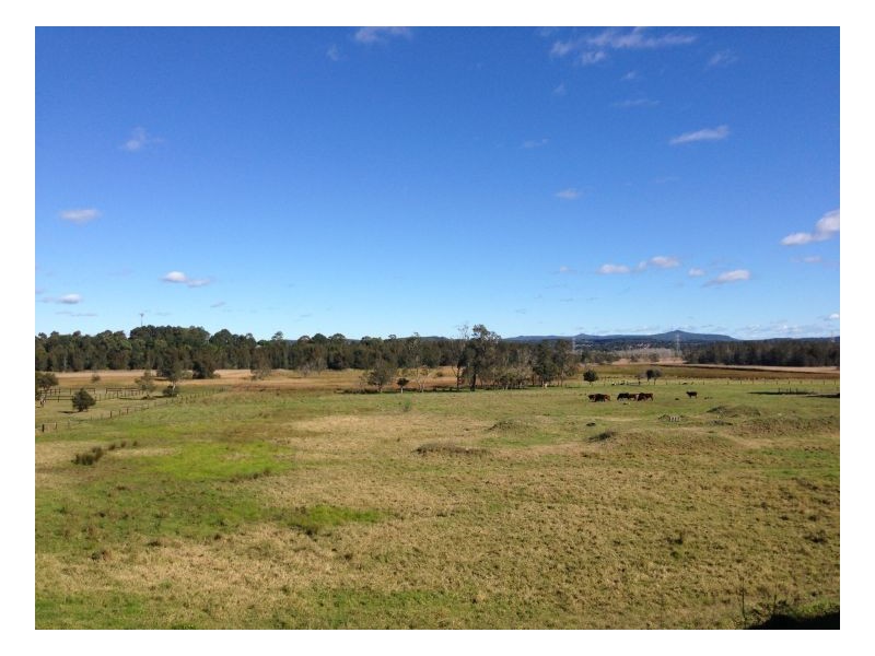 77 Marsden Street, Shortland NSW 2307