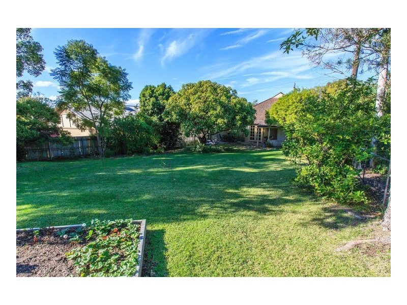 20 Bridge Street, Waratah NSW 2298