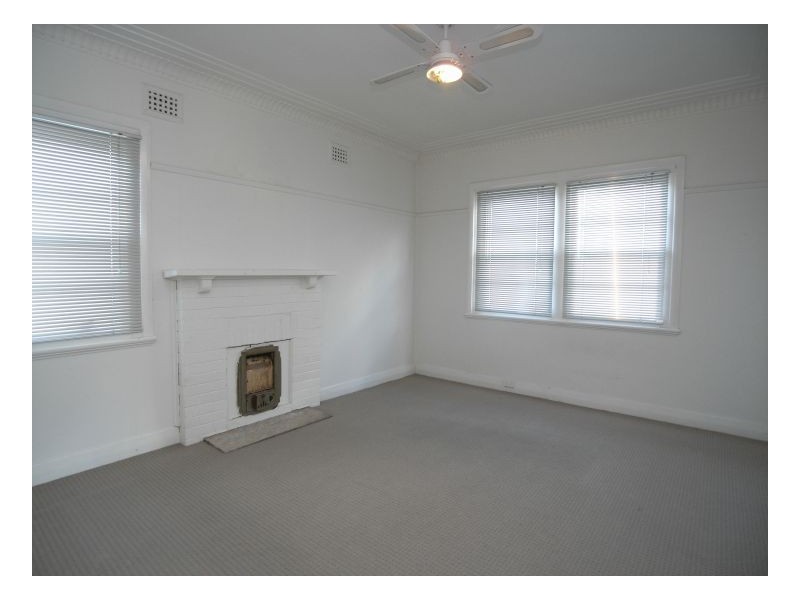 3 Adrian Street, Mayfield NSW 2304