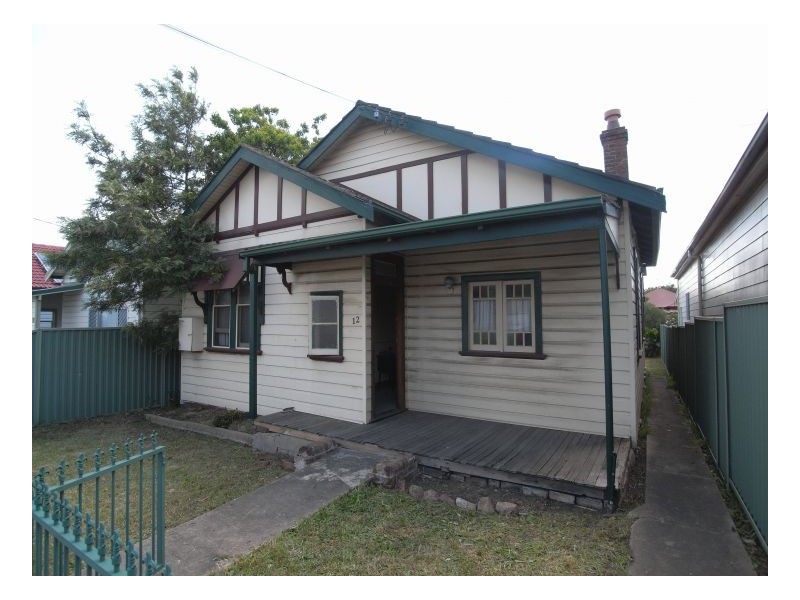 12 Elizabeth Street, Mayfield NSW 2304