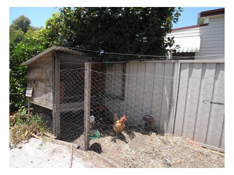 55 Silsoe Street, Mayfield NSW 2304