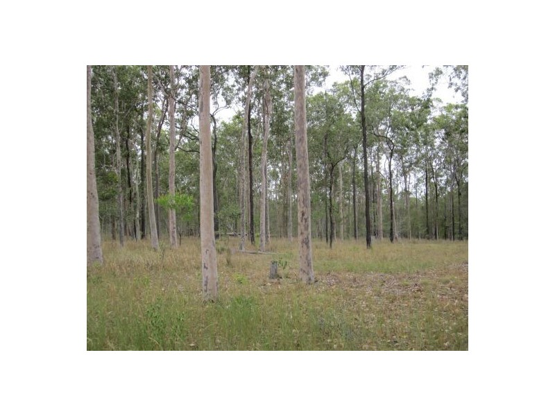 2176 Old Tenterfield Rd, Rappville NSW 2469