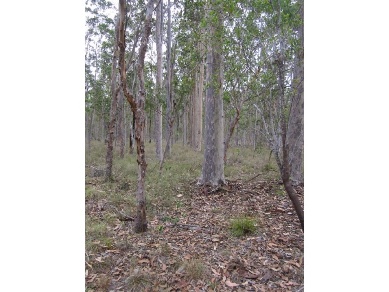 2176 Old Tenterfield Rd, Rappville NSW 2469