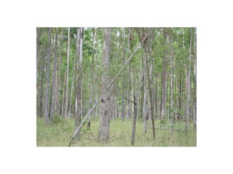 Lot 96 Wyan Rd, Rappville NSW 2469