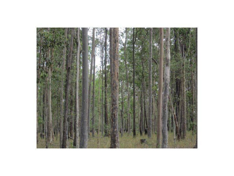 Lot 96 Wyan Rd, Rappville NSW 2469