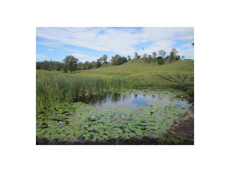 2285 Bentley Rd, Bentley NSW 2480