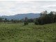 2285 Bentley Rd, Bentley NSW 2480