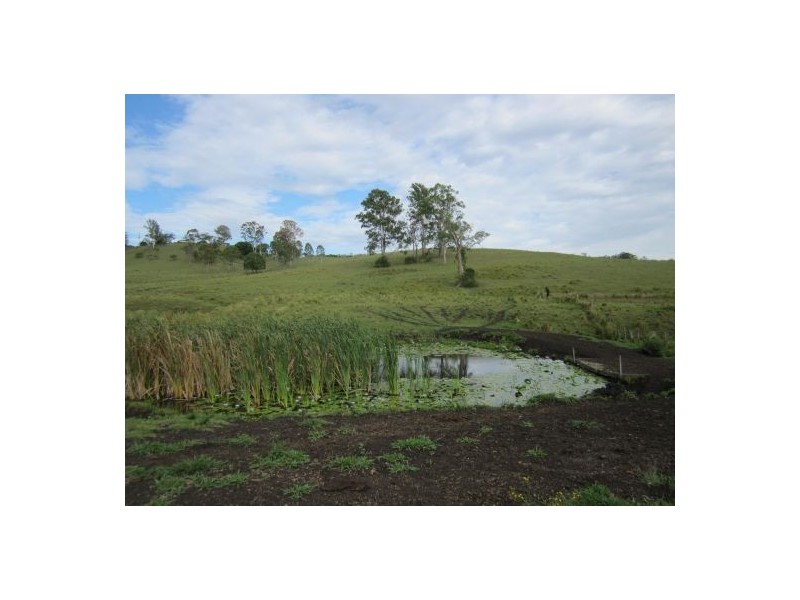 2285 Bentley Rd, Bentley NSW 2480